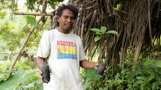A minority from Nagpana holding coffee plant.